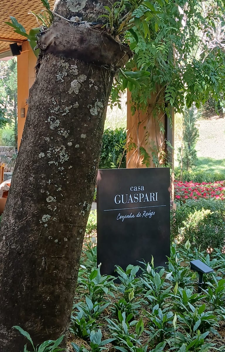 Vindima 2026 da Vinícola Guaspari. Foto: Lu Mastrorosa