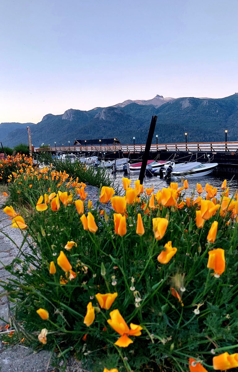 Muelle de embarcados primavera - Villa Traful