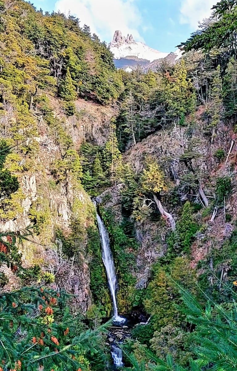 Cascada Coa Co - Villa Traful - Patagonia Argentina
