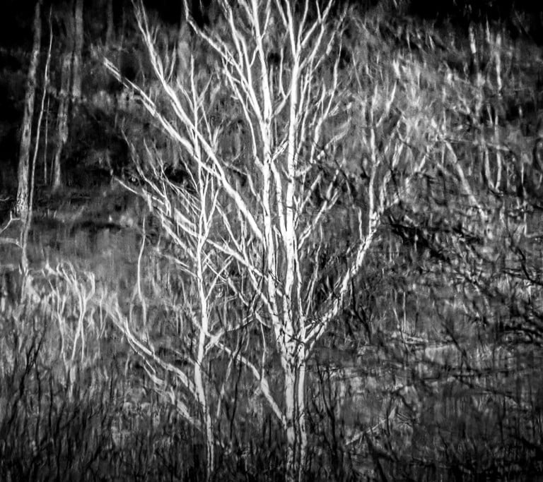 Séries Miroirs ©JM Huriot