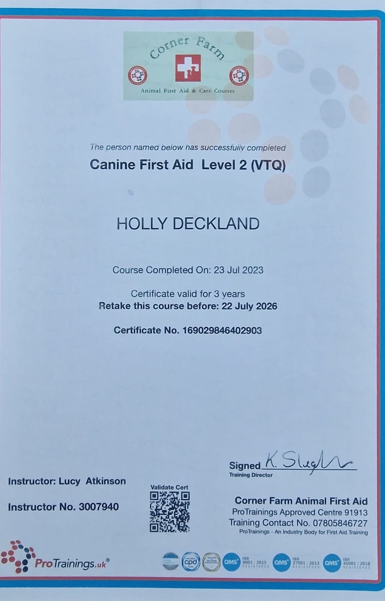 Canine First Aid Level 2 certificate