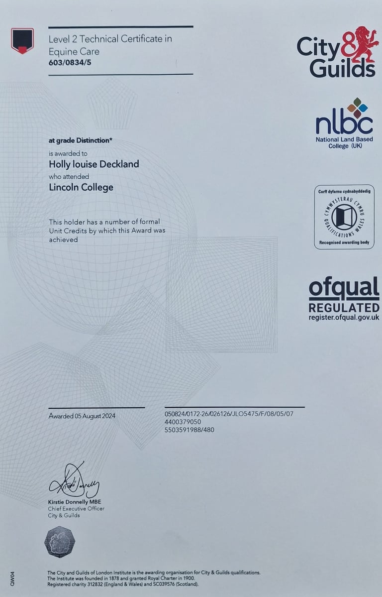 Level 2 Technical certificate in Equine Care