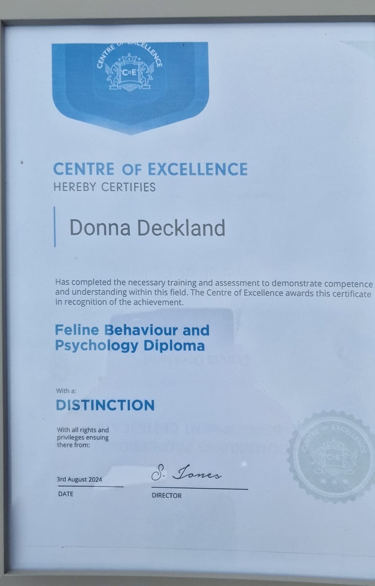 Feline Behaviour and Psychology Diploma