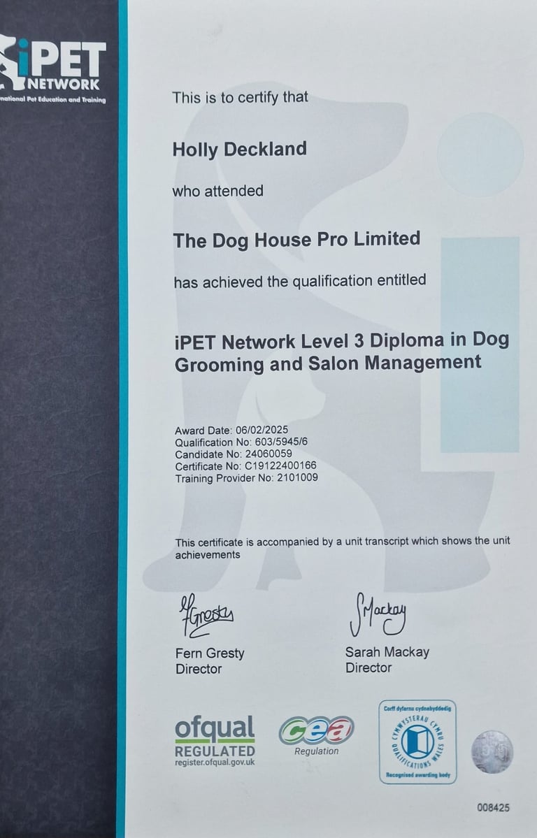 Level 3 Grooming and Salon Management iPET certificate