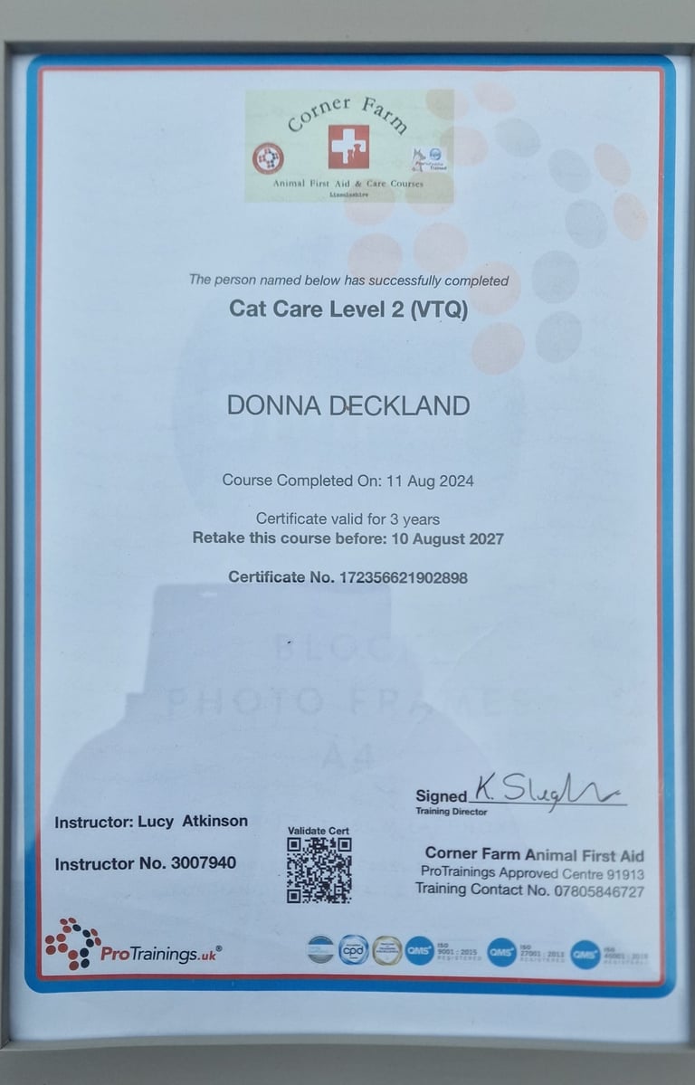 Cat care level 2 certificate
