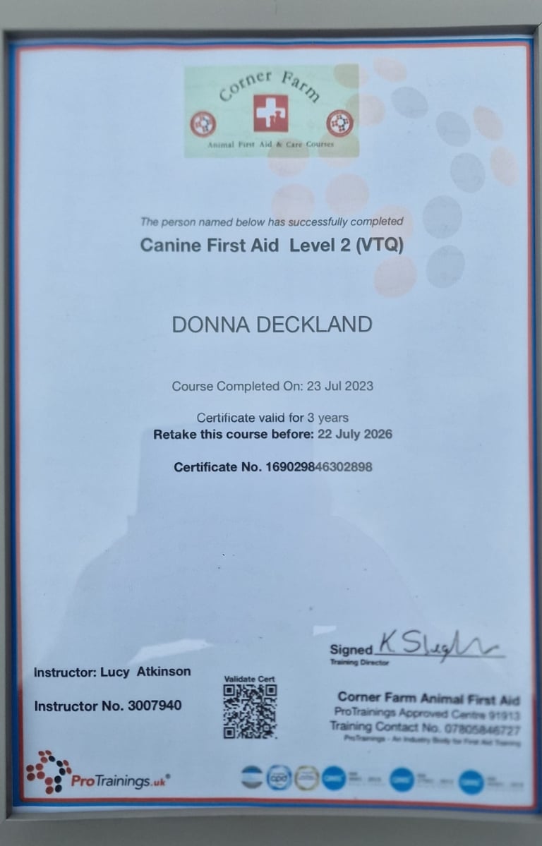 Canine First Aid certificate