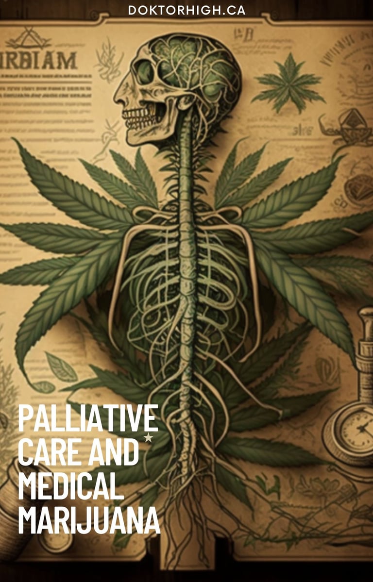 cannabis in palliative care