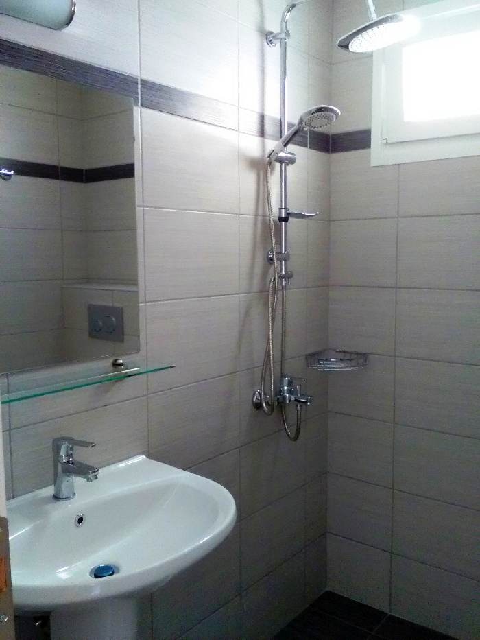 a bathroom with a shower and a sink