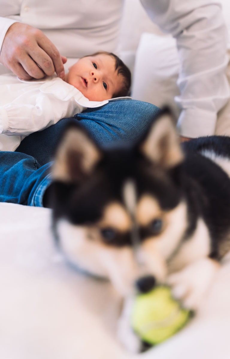 Photographe famille Paris 16 : bébé et papa avec leur chien au salon
