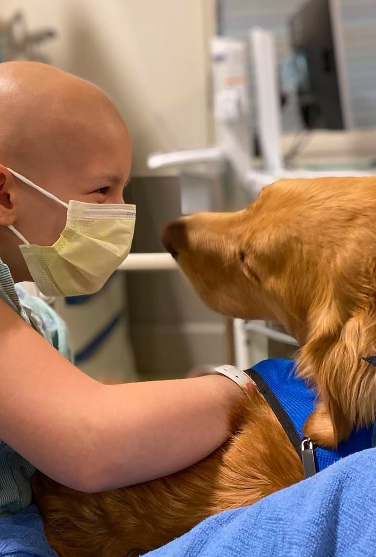 A girl in the hospital with a dog by her side