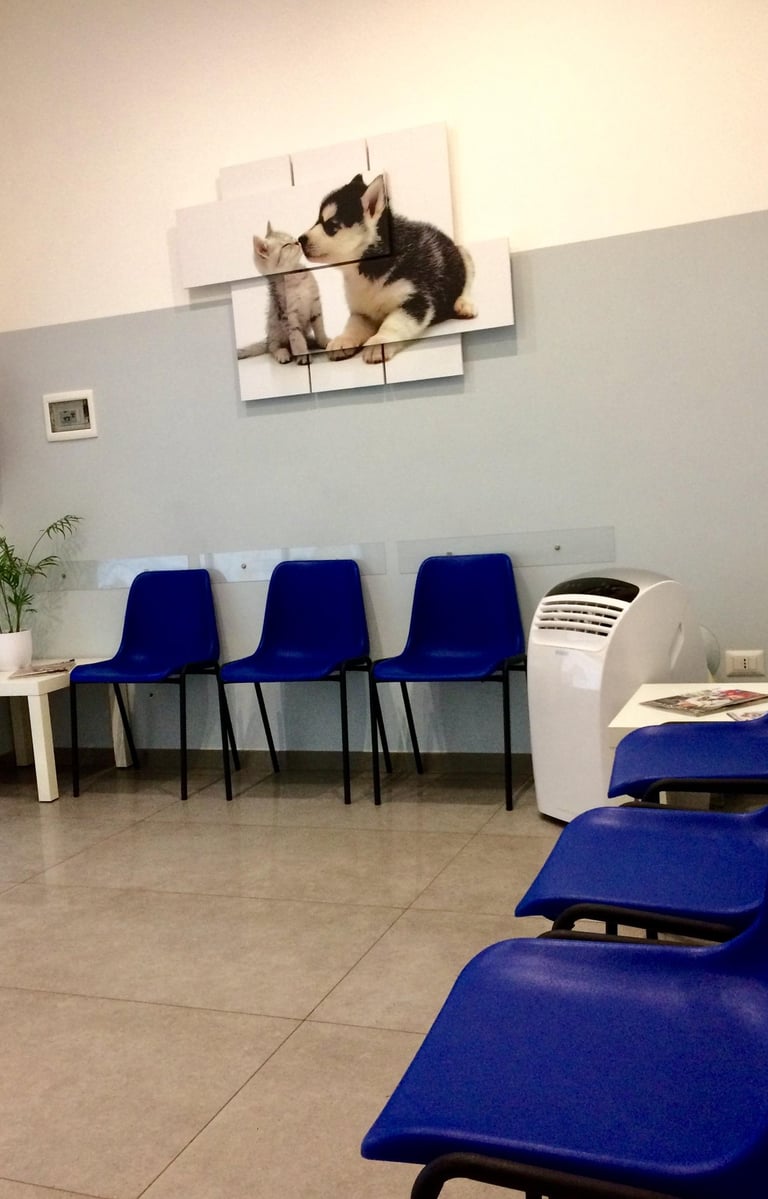 Sala di attesa clinica veterinaria