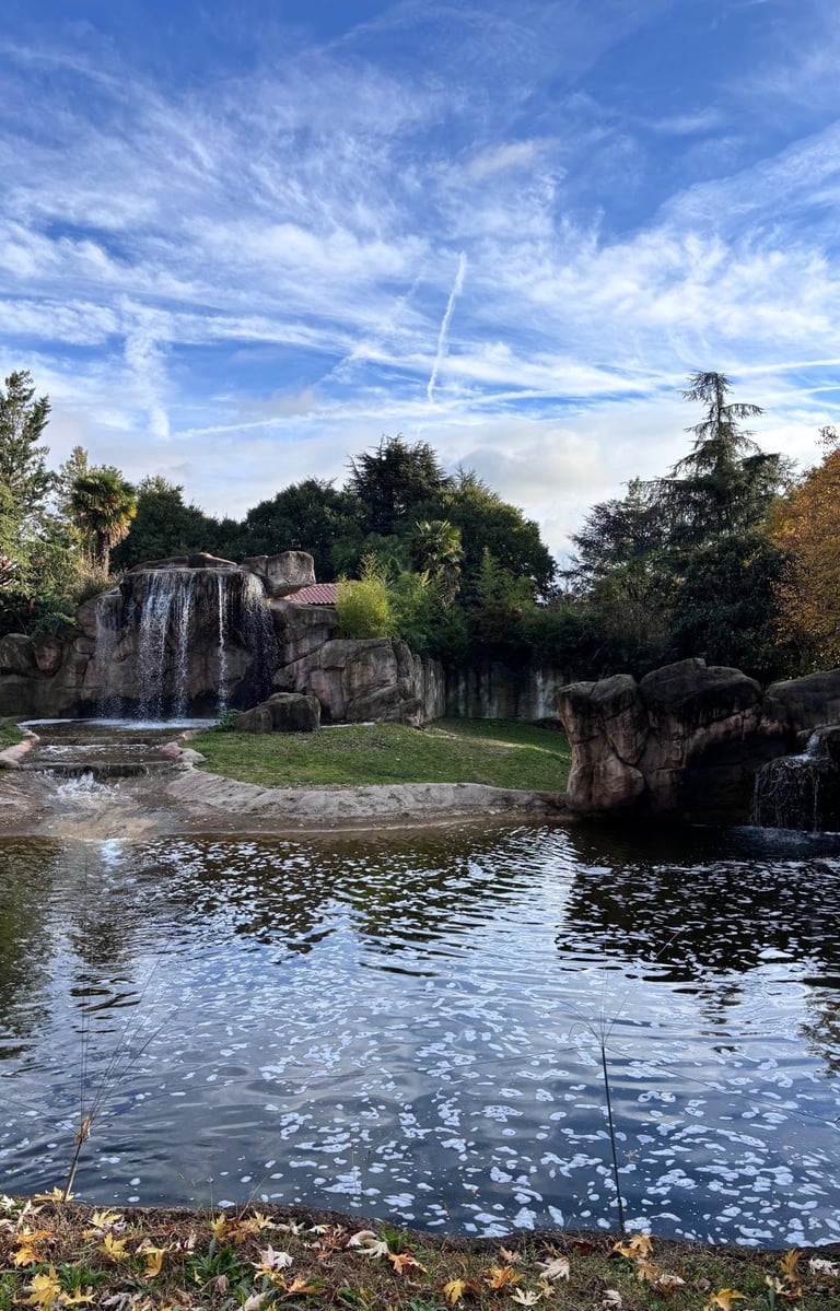 Faunistic Park Le Cornelle