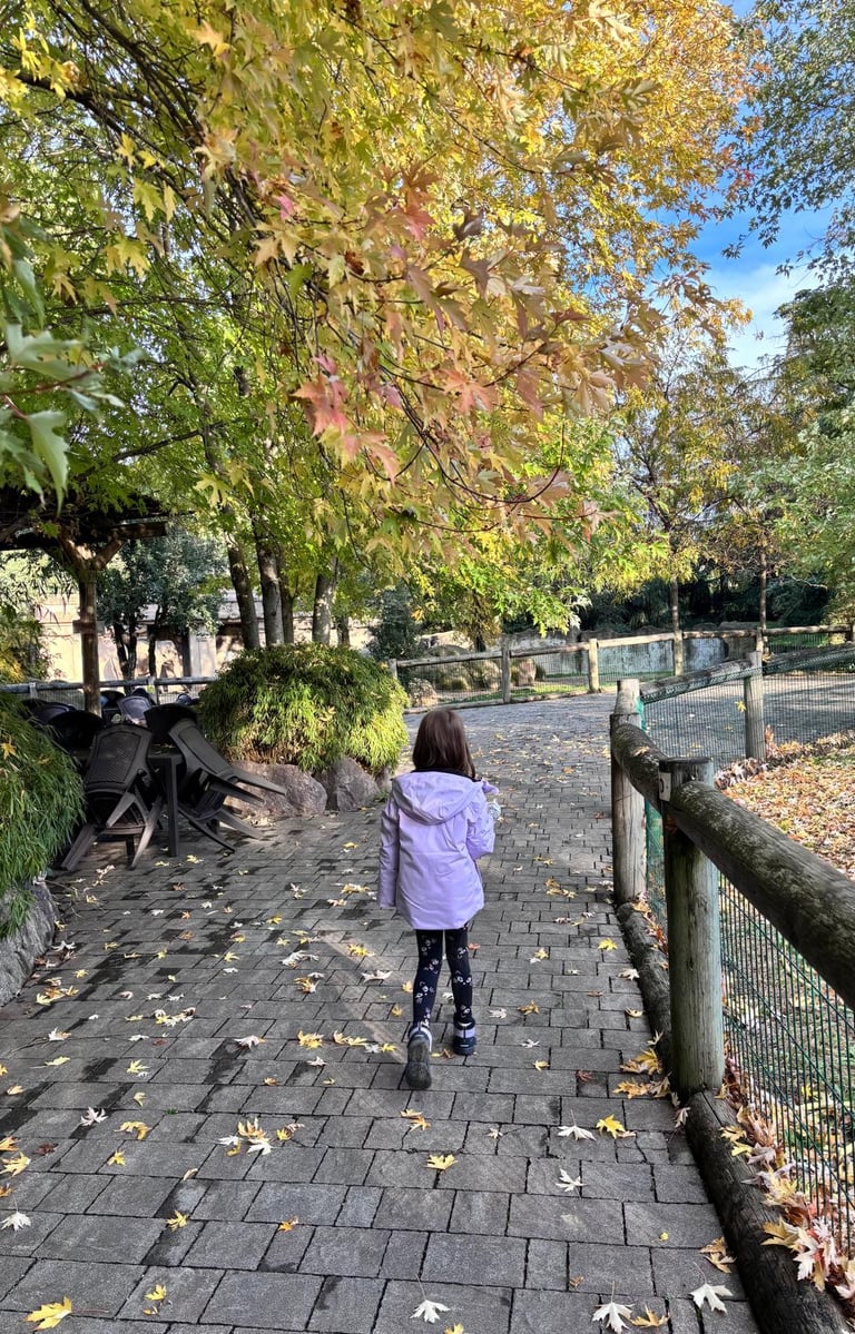 Faunistic Park Le Cornelle