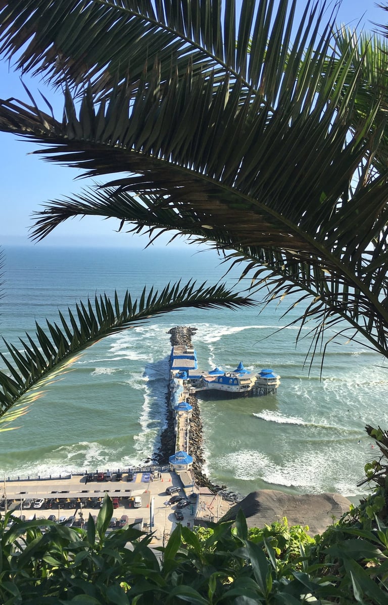 sea view with palm leafs