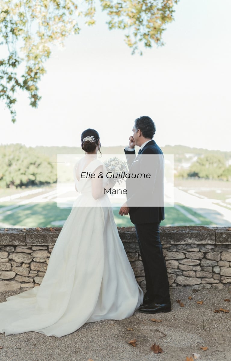 Mariage Elie & Guillaume, couple face au paysage provençal, Mane