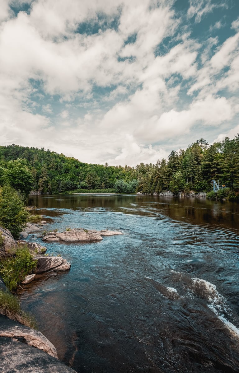 a river with rocks and trees in the background