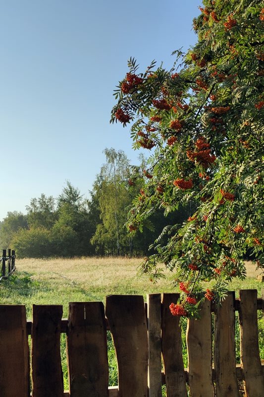 Sękiewiczówka - agroturystyka małopolska - gospodarstwo agroturystyczne dla dzieci