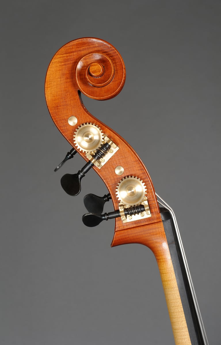 Richard Gonon, luthier