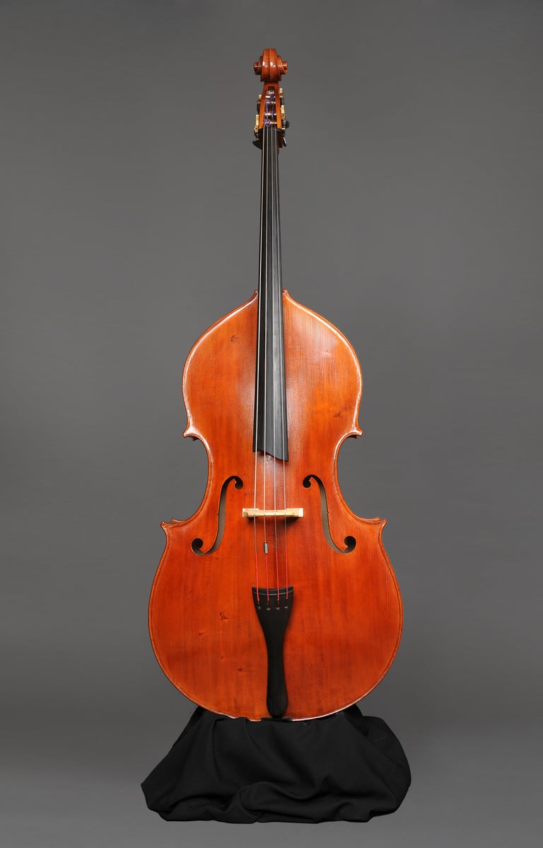 Richard Gonon, luthier