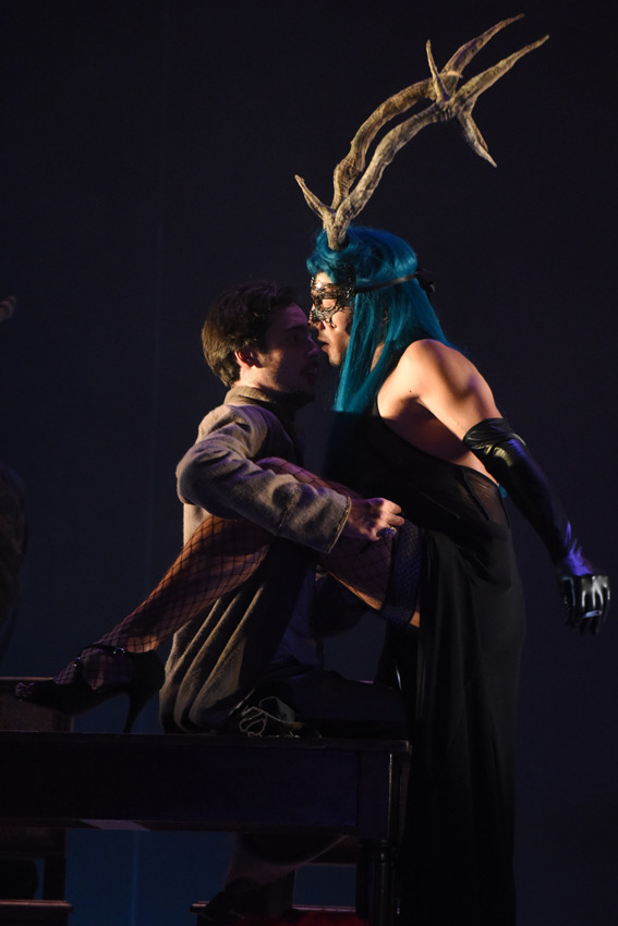 Candide, Arnaud Meunier