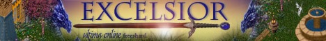 banner for Excelsior website