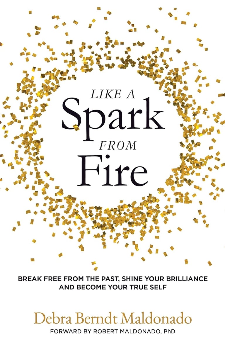 Like A Spark From Fire book