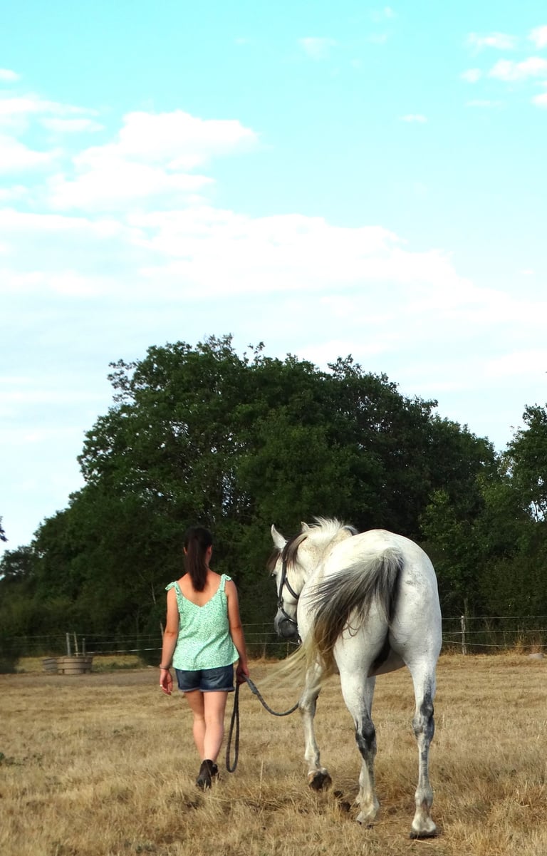 Jeune fille marchant avec son cheval lors d'une séance d'équithérapie