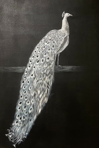 White Peacock painted in acrylics