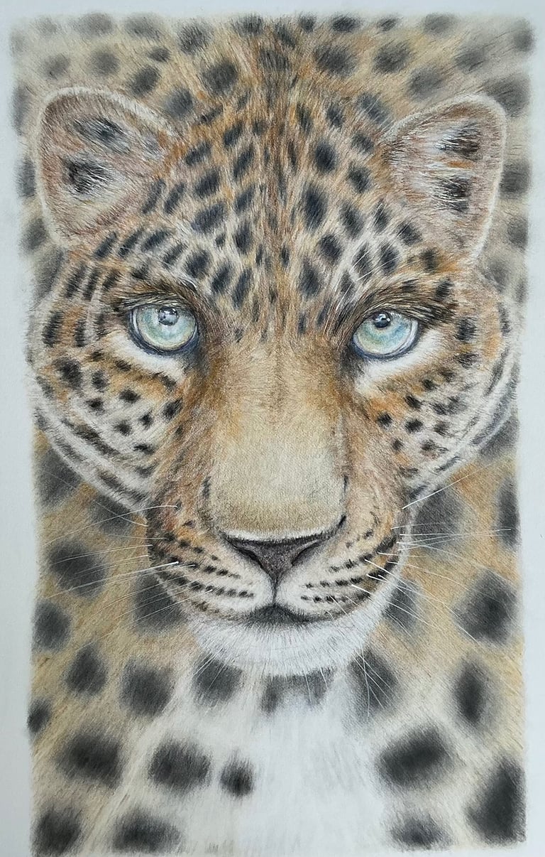 Leopard