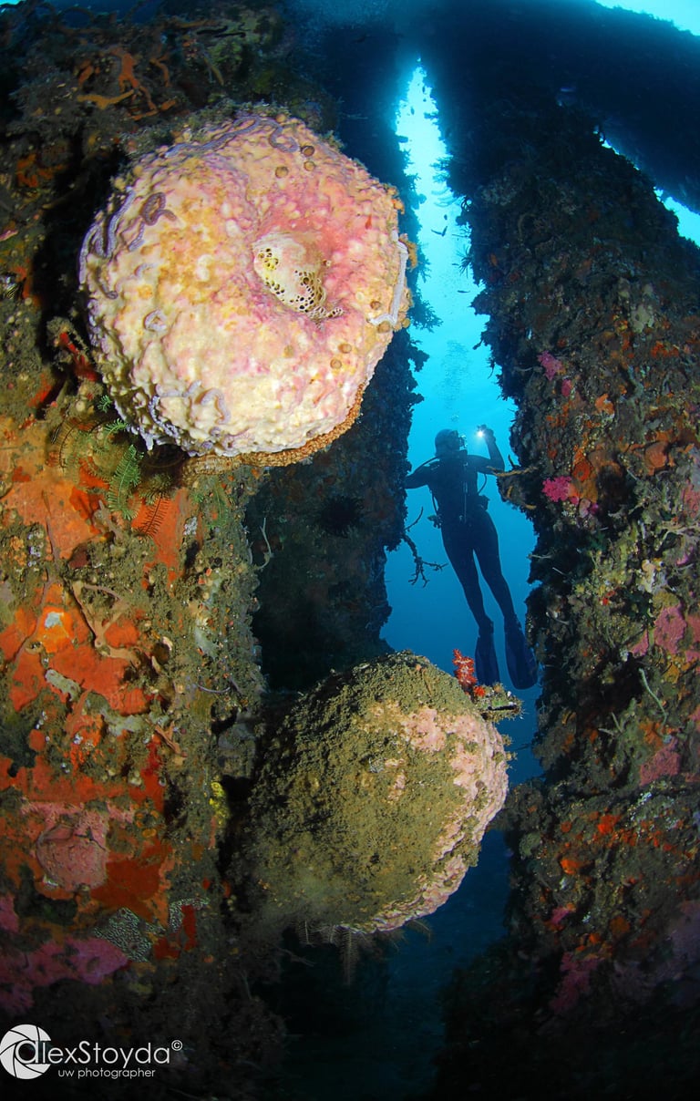 a diver standing on a rock formation in the ocean