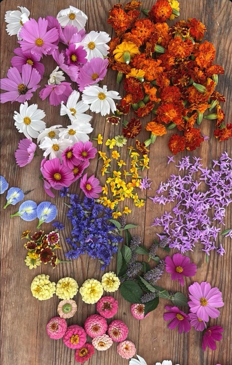 mix de fleurs comestibles