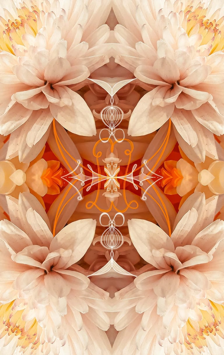 ilustración digital sobre fotografia floral