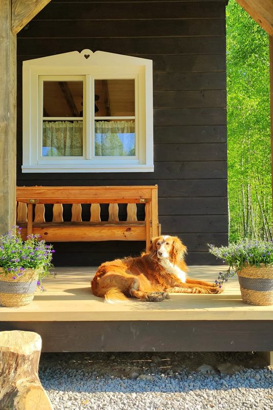 Sękiewiczówka - agroturystyka małopolska - gospodarstwo agroturystyczne dla dzieci