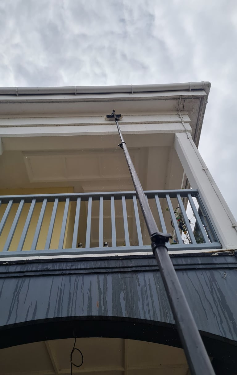Cleaning fascia with window fed pole
