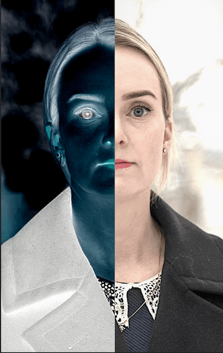 Tine Ravlo, Medisinsk fagsjef, Den norske legeforening، Helsedirektoratet، oslo kommune helseetaten