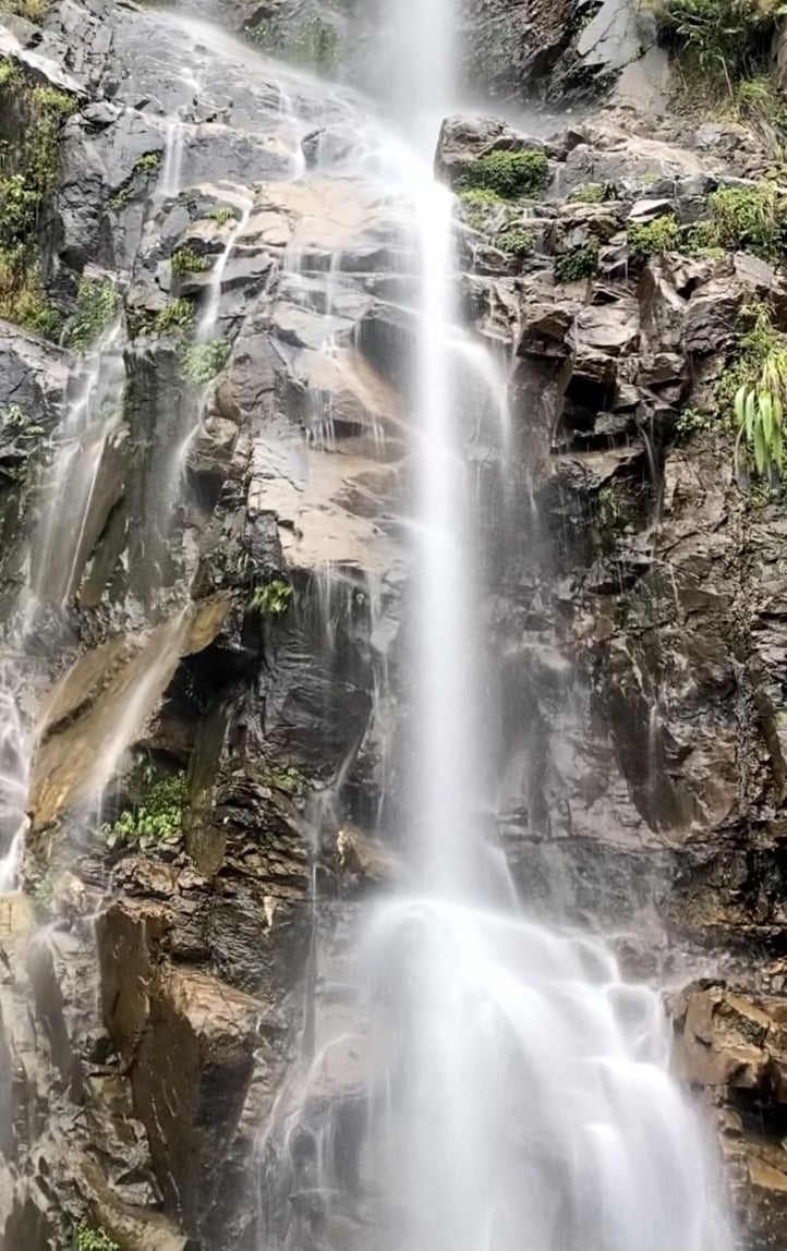 a waterfall in the middle of a forest