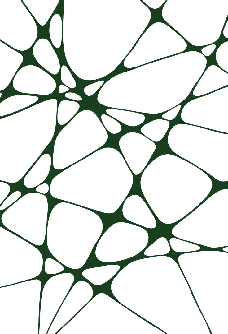 Abstract dark green network of interconnected lines and organic shapes on a white background.
