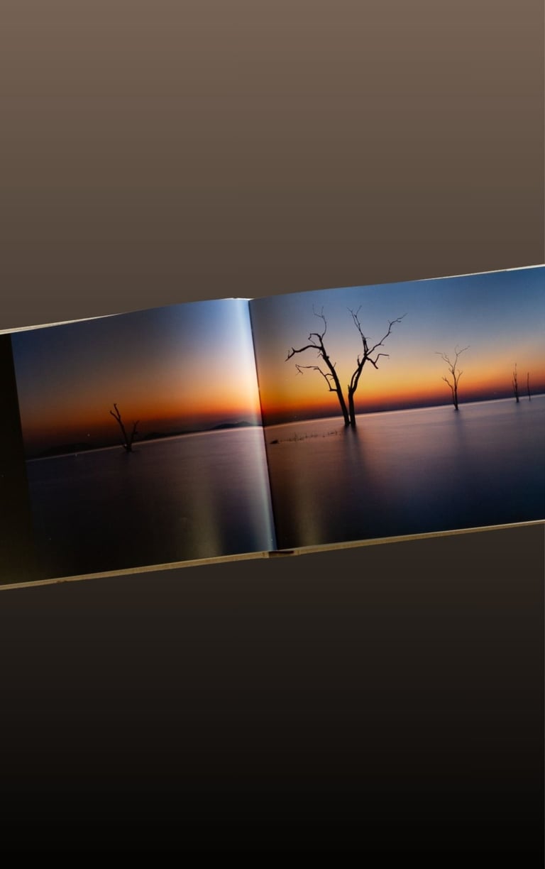 Panoramic spread from the Moments of Grace coffee table book showing trees standing in still water at sunset.