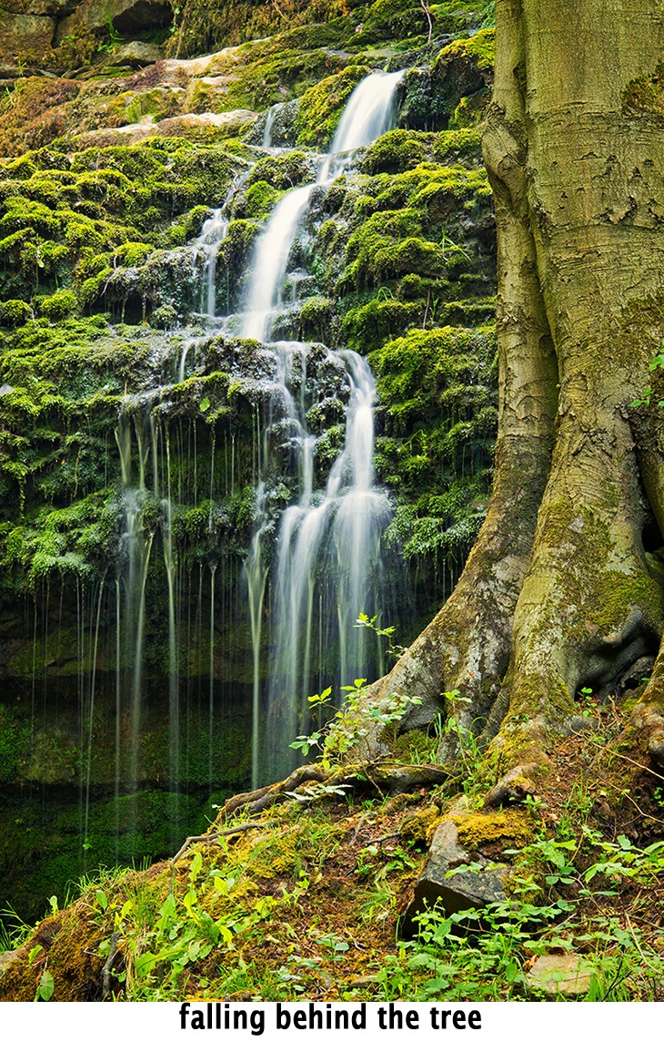 a small waterfall behind a tree trunk a micro landscape concept
