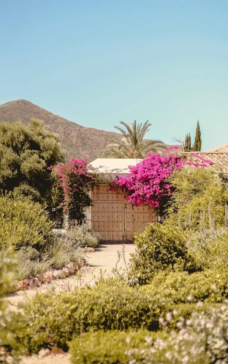 Garden entrance with wooden gates, bougainvillea and mountain backdrop