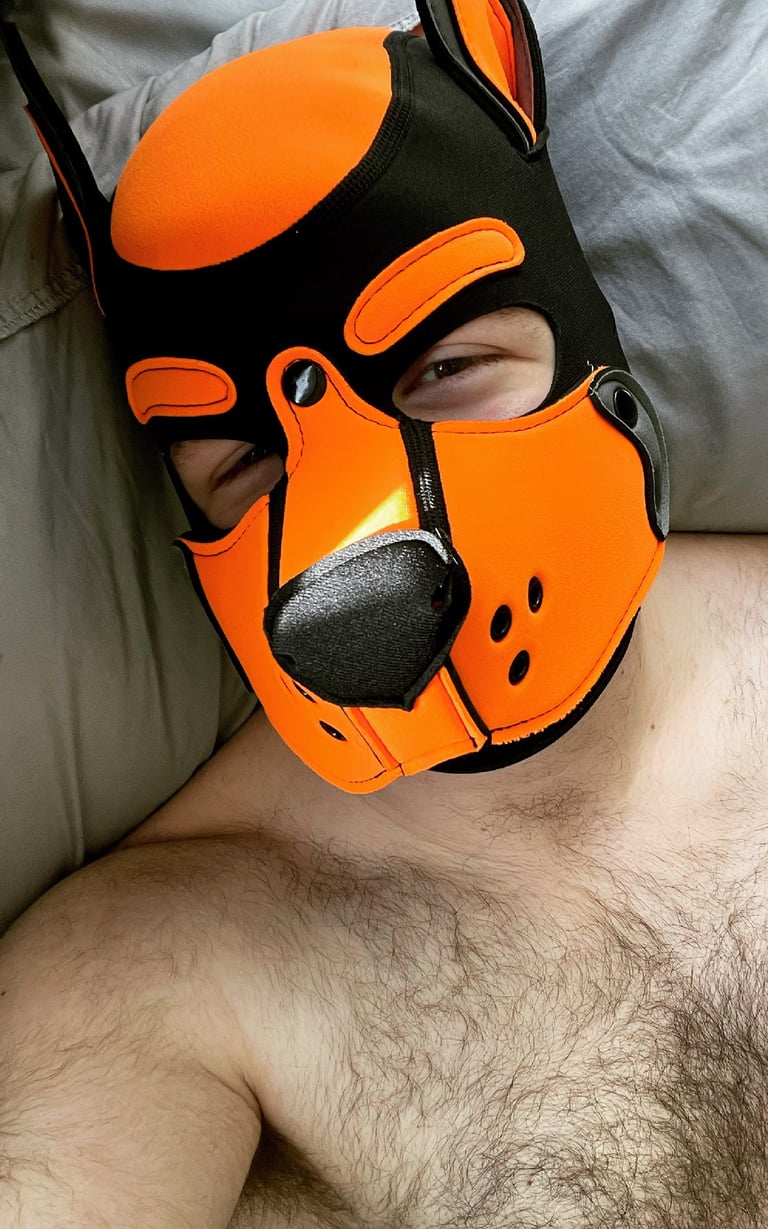 Shirtless man posing in a pup mask.