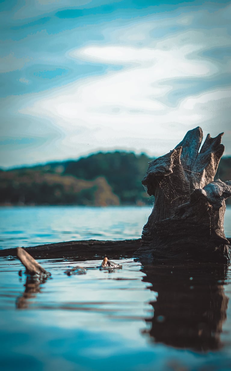Fotografía del Pantano en Cecebre, A Coruña