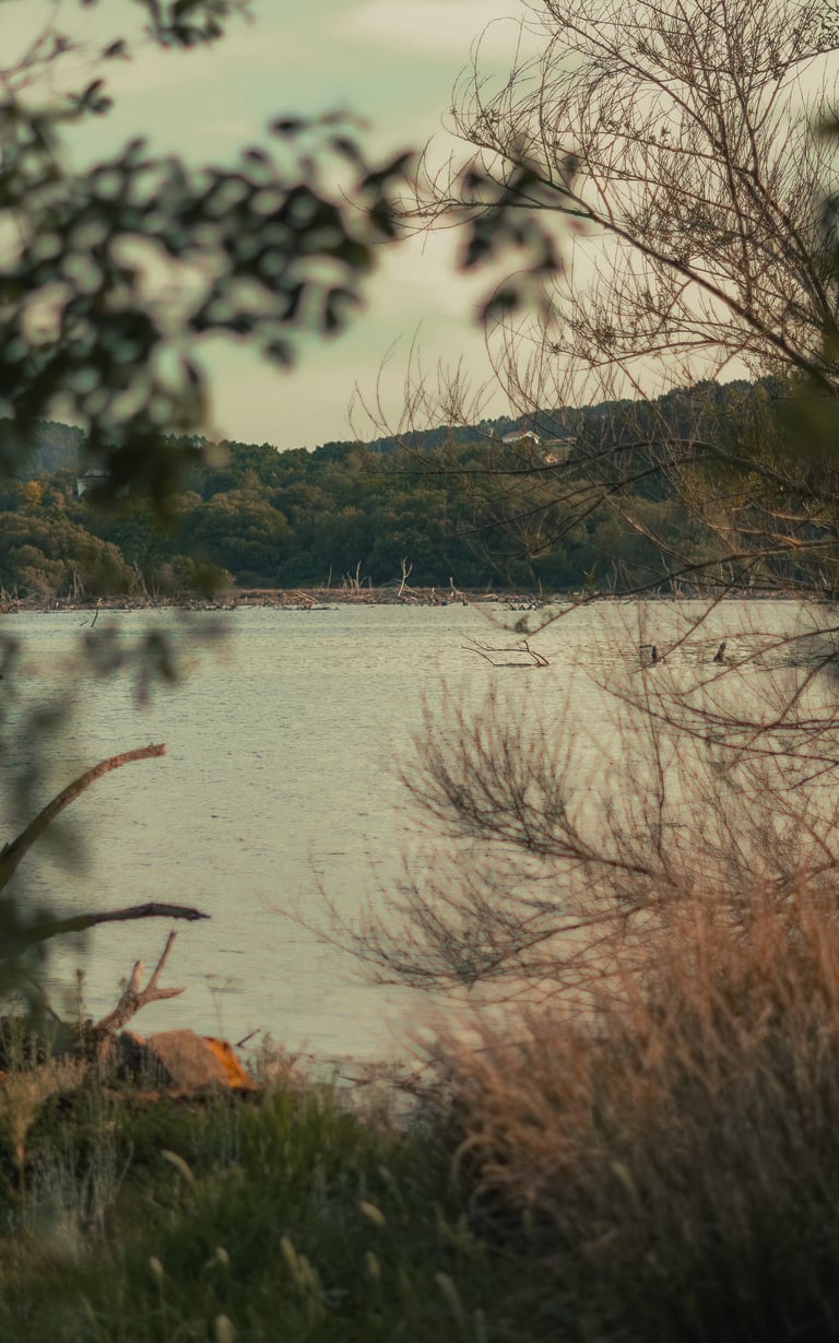 Vistas al pantano de Cecebre