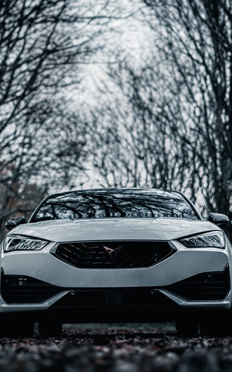 Fotografía del coche Cupra León de 2024