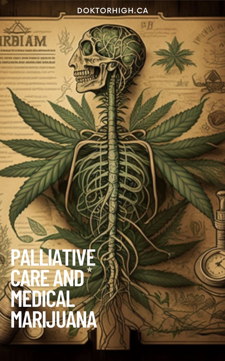 Palliative care with medical marijuana book cover Doktorhigh
