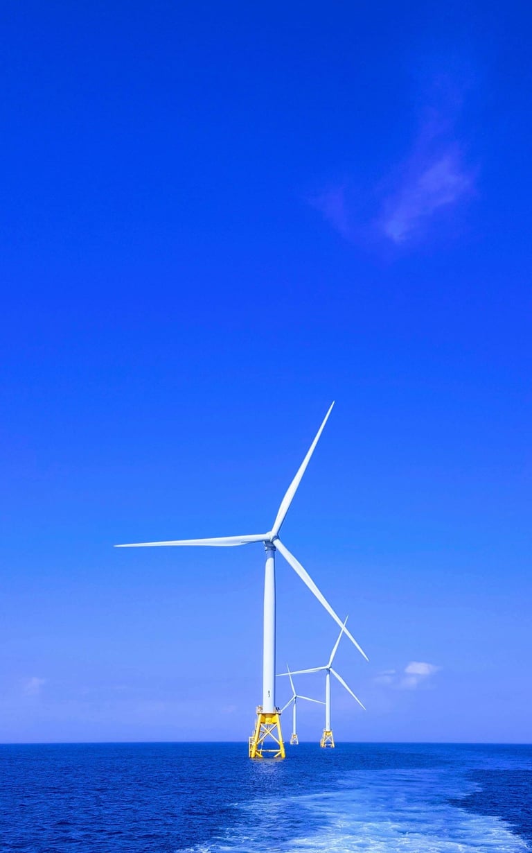 Renewable energy projects, Risk mitigation strategies, contracting models, net-zero energy