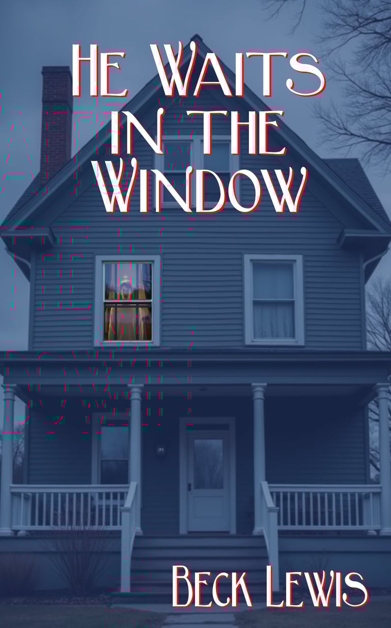 He waits in the window book cover