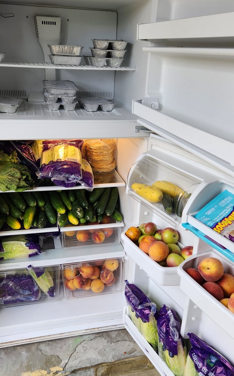 Fridge and freezer opened showing contents of fresh food and prepackaged meal.
