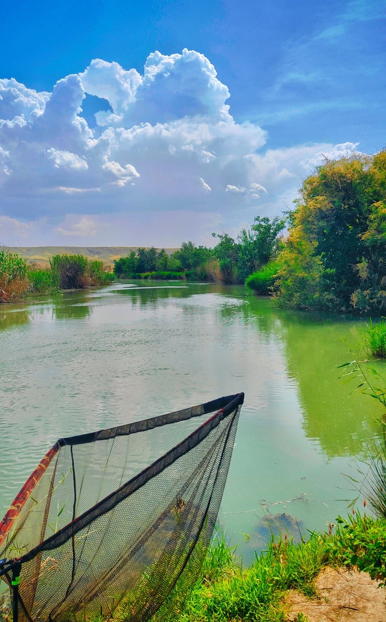 Bright river landscape with blue sky, white clouds, vivid green vegetation, and colorful water refle