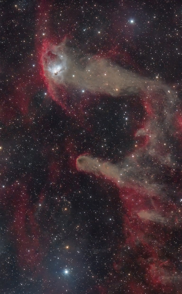 Voir la page dédiée